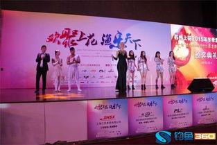 晚宴娱乐带动,娱乐盛宴中的璀璨时光